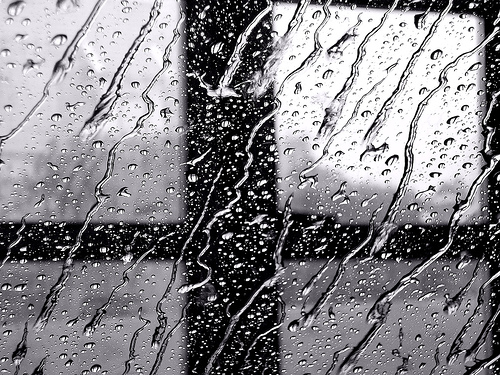 Синоптики обещают дожди на протяжении всего дня.
Фото tobefree.ucoz.ua.