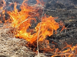 Из-за сожжения листьев в городе нечем дышать. Фото http://serponline.ru