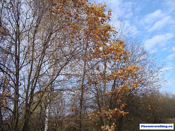В Запорожье ясная погода. Фото phototravelling.ru