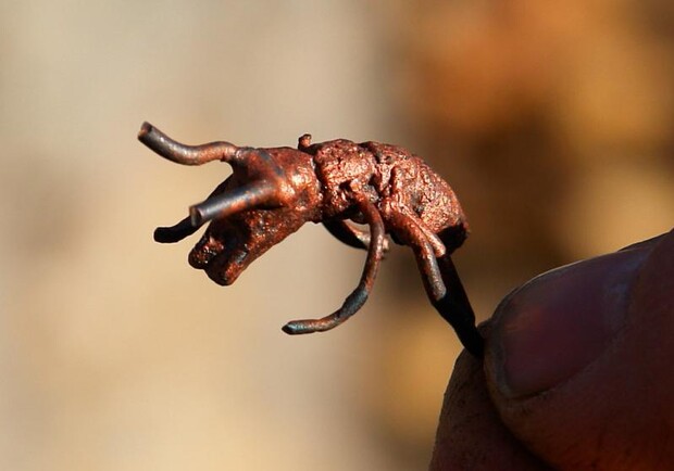 Кузнец выковал миниатюрного муравья.