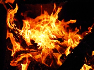 Новость - События - Под Запорожьем школьники чуть не сожгли дом