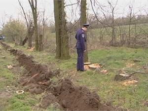 По данным милиции на Хортице спилили полтысячи деревьев. Фото: пресс-службы ГУ МВД в Запорожской области.