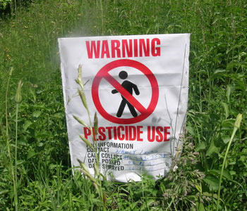 Пестициды угрожают здоровью населения
Фото http://stopsmoke.com.ua
