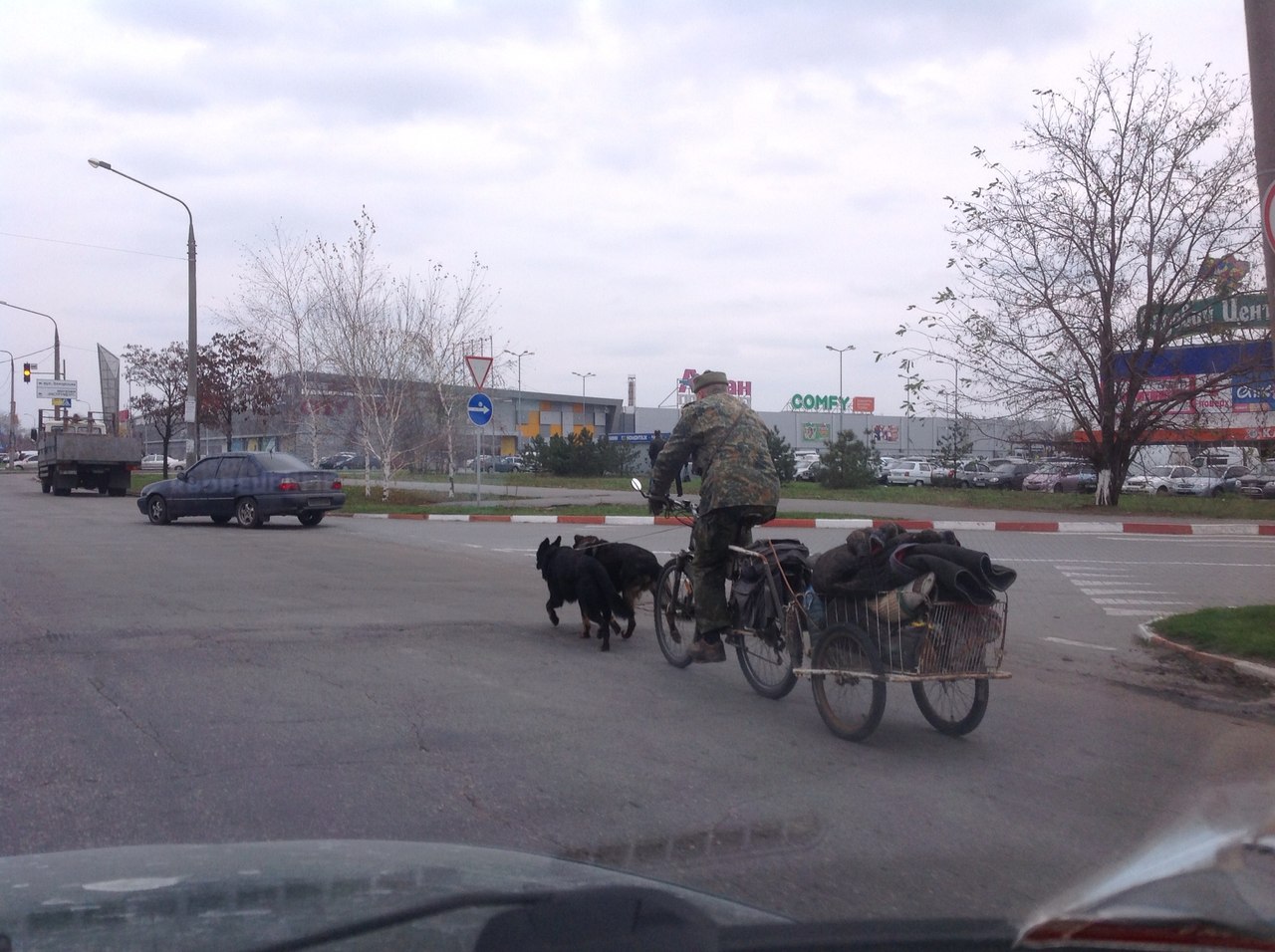 Новость - Транспорт и инфраструктура - Однако: запорожец запряг велосипед собаками