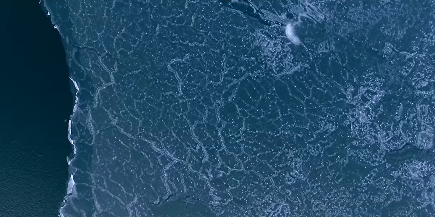 Новость - События - Опубликовано видео: ледяная красота Азовского моря