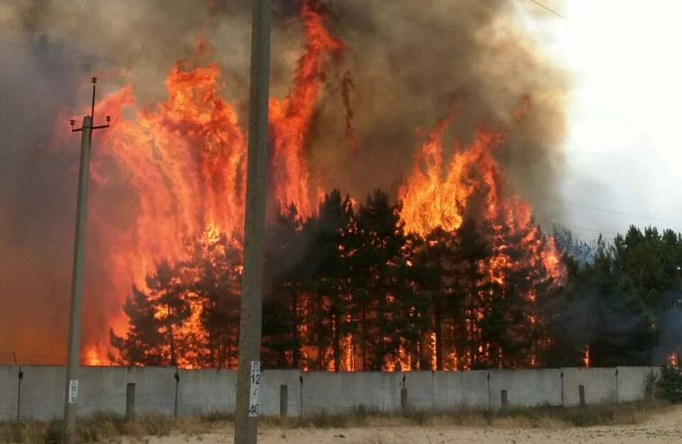 Новость - События - Смотри фото: 42 спасателя тушили сильный пожар под Запорожьем