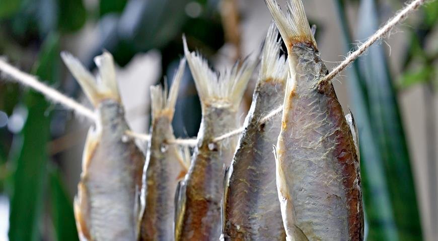 Новость - События - Поаккуратней с рыбой: в Запорожье критическая ситуация по количеству заболевших ботулизмом