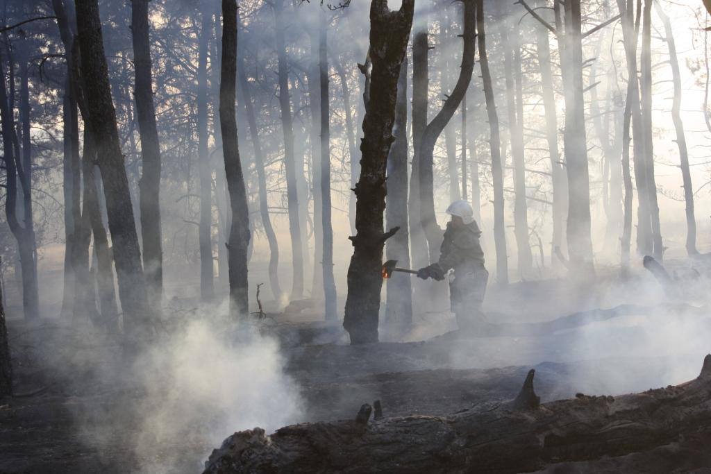 Новость - События - Слишком жарко: в Запорожье снова горит остров Хортица