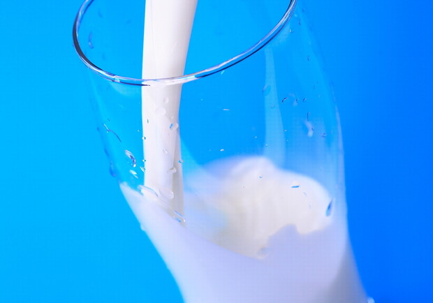 Комиссия довольна качеством запорожского молока.
Фото www.photl.com.