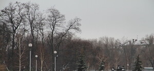 Улицы города мести некому:  горожане просят большую зарплату