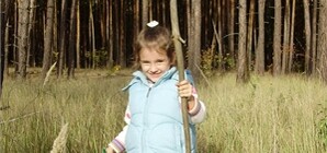 На Донетчине появятся миллионы новых деревьев 