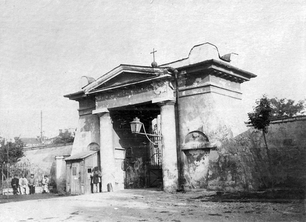 Что ответили в мэрии по поводу костей в Преображенском парке: видео