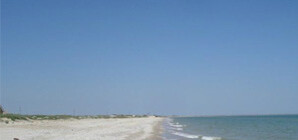 Запорожский пеленгас уплыл в Россию