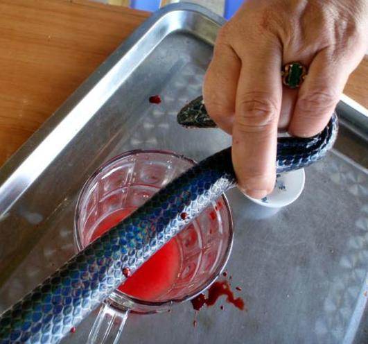 Хит-парад самых отвратительных напитков планеты