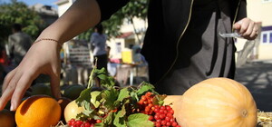 К осени в Запорожье появится оптовый продуктовый рынок