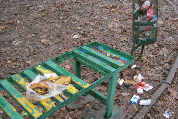 Грязь в парке разводят сами запорожцы. 
Фото vgorode.ua
