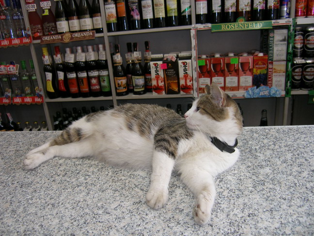 Украинцы вошли в пятерку самых пьющих наций