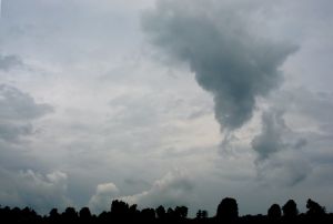 Сегодня Украину 