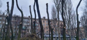 Парку быть: Верховный Суд пересмотрит дело о вырубке сквера Яланского