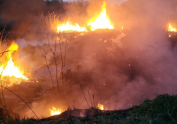 Не жгите траву: за сутки спасатели ликвидировали девять пожаров в экосистемах  фото