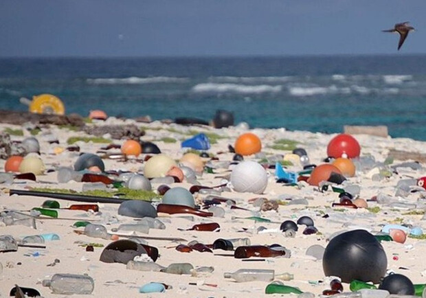 На пляжах Приморска полно мусора/ фото: puteshestvennik