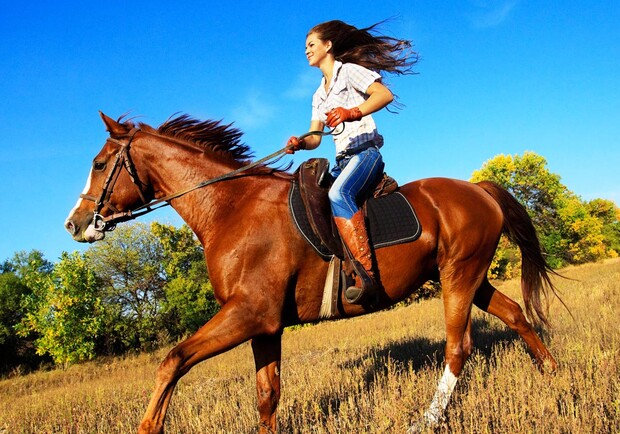 С ветерком: где в Полтаве покататься на лошадях