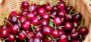 Налетай, подешевело: Цены на ягоды в Украине упали почти в пять раз