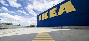 Незаконная вырубка Карпатских лесов: IKEA отреагировала на обвинения