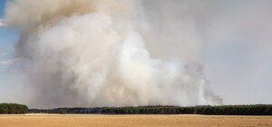 Будь осторожен: в Днепропетровской области объявлен высший уровень пожарной опасности