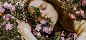 Знижує працездатність: львів’ян попереджають про небезпечний бур’ян