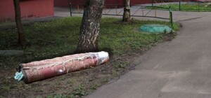 В ковре: на Новых домах обнаружили труп за гаражами