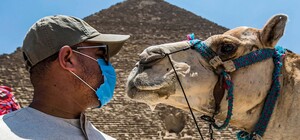 Хочешь на море — сдай анализ: Египет будет требовать у туристов ПЦР-тест на коронавирус