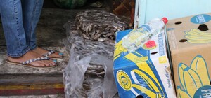 Рыба на полу с привкусом фумигатора: в центе Запорожья разогнали стихийщиков