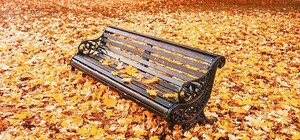 Где установят: в Харькове появится лавочка за 240 000