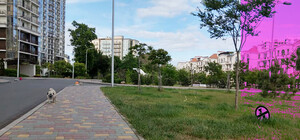 Смешно и грустно: в Одессе придумали «околоурбанистический алфавит»