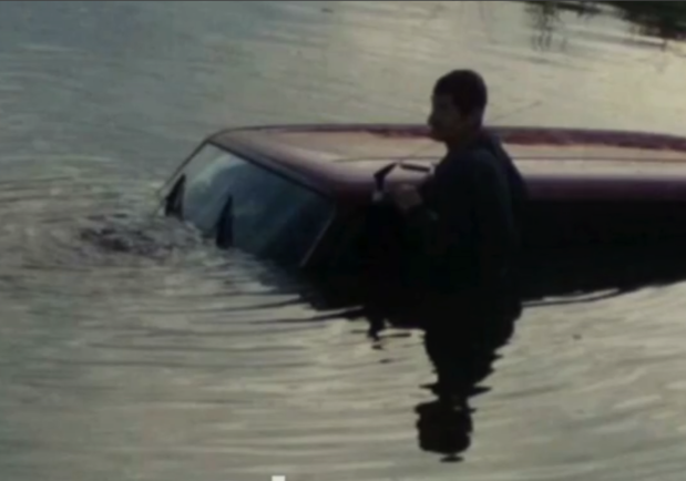 Реакция водителя удивила: под Мелитополем автомобиль слетел с дороги в воду (видео) - фото из соцсети