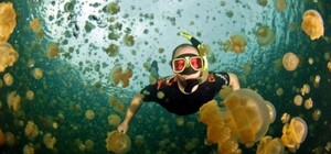 Купаются среди медуз: что сейчас происходит в Кирилловке (видео)