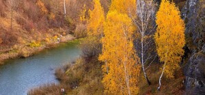 Пішов по гриби: у річці на Львівщині знайшли труп 