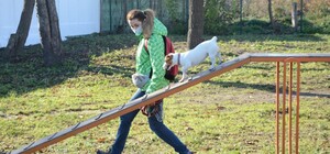 Як виглядає новий тренувально-вигульний майданчик для собак на Промисловій: фото