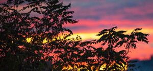 Яркий вечер: одесситы наблюдали красочный закат