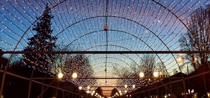 Полюбуйтесь: на бульваре Шевченко засияли тоннель и фотозоны