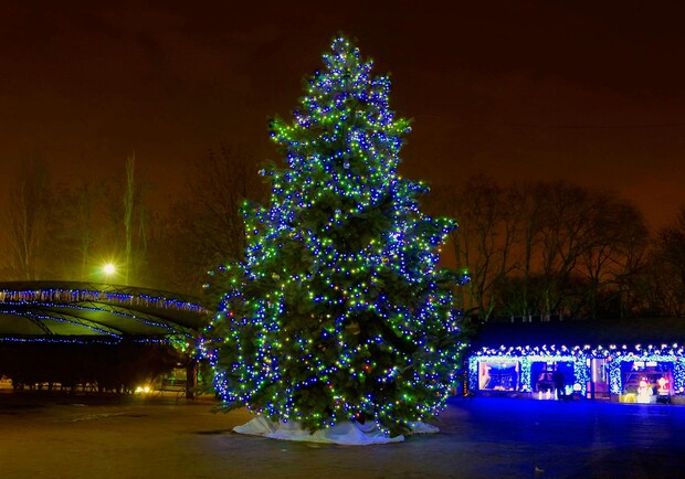 Полюбуйся ночными огнями: одесский парк украсили к Новому году. Фото Лолиты Клочковой