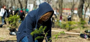 Вместо сломанных: запорожцы хотят высадить новые деревья в сквере Яланского