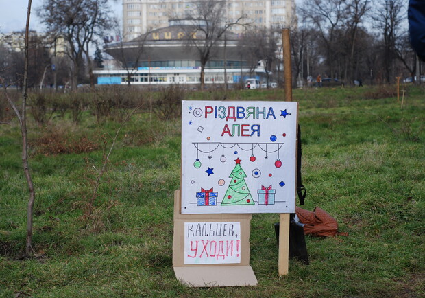 В сквере Яланского высадили Рождественскую аллею. Фото: fb Denis Tarasov