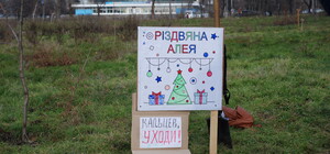 Вместо сломанных деревьев: в сквере Яланского высадили Рождественскую аллею (фото)