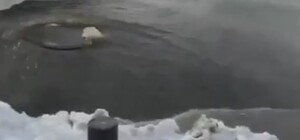 Скоро будет 