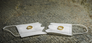 Не так уж плох карантин: в 2020-м году развелись гораздо меньше запорожцев, чем обычно