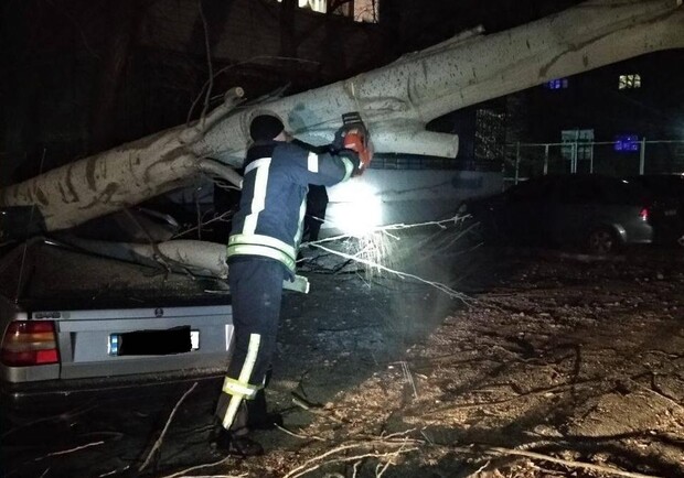 В Запорожье на автомобиль рухнуло дерево - фото: ГСЧС