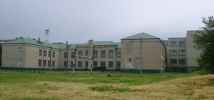 Выносили на носилках: в вольнянской школе отравились пятеро школьниц