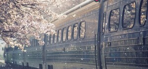 Планируй длинные выходные: из Харькова в Киев пустят дополнительные поезда к 8 марта